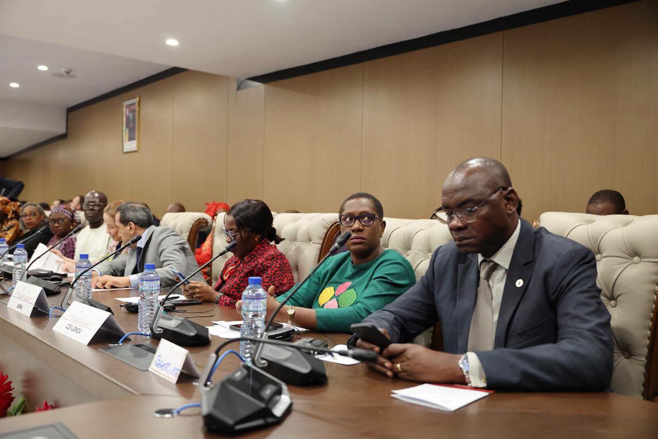 Alliance Politique Africaine 1